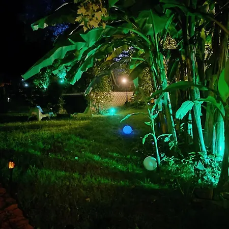 Alfoz De Rondiella * Piñeres