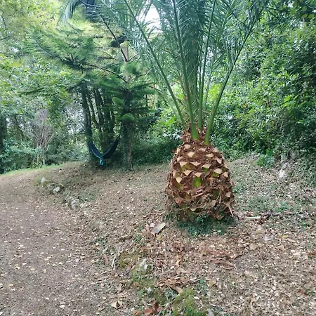 Affittacamere Alfoz De Rondiella *