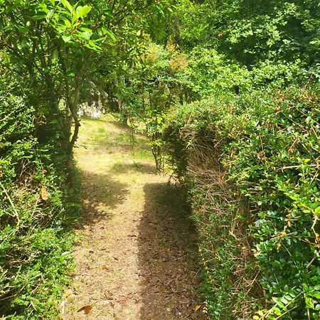 Affittacamere Alfoz De Rondiella