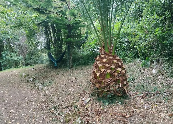 Pensión Alfoz De Rondiella *